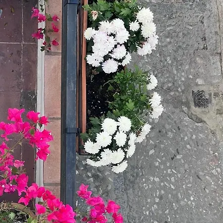 Casa Abades